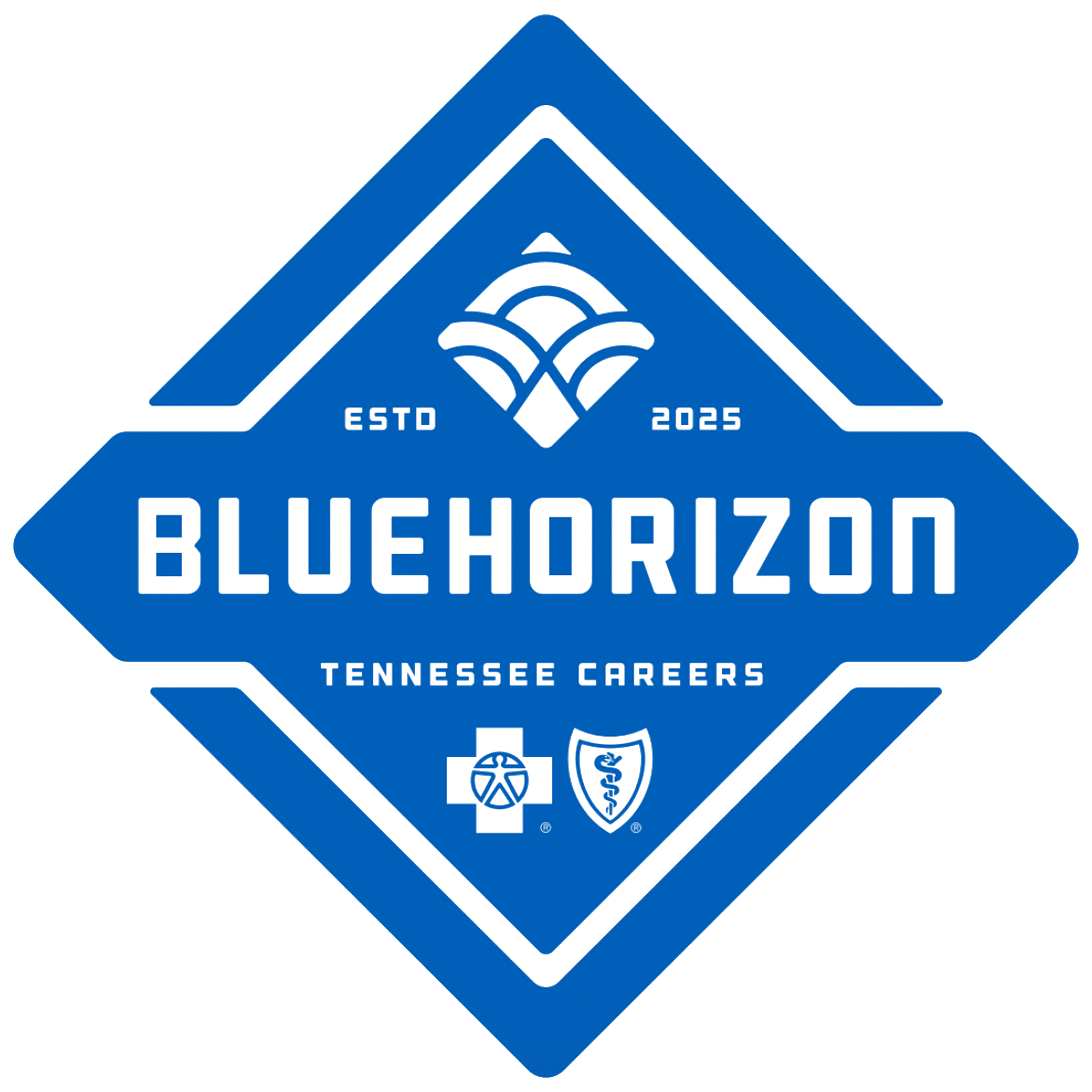 BlueHorizon logo blue BlueHorizon logo